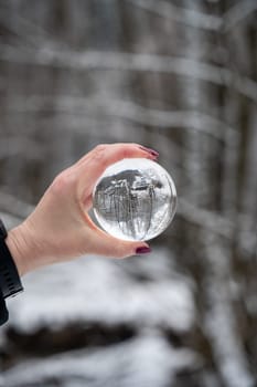 Human hand holding a glass ball, trees reflected in it on a cold winter day with lots of snow