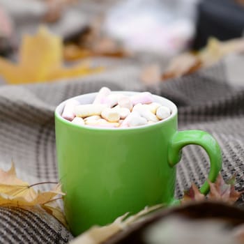 Autumn leaves and hot steaming cup of coffee lies on checkered plaid outdoors. Fall time concept atmospheric mood composition