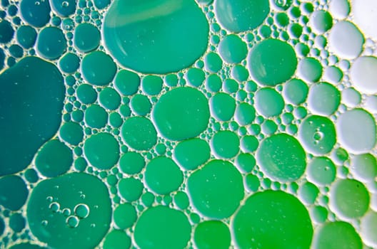 Close-up of oil bubbles suspended on water, creating a hypnotic effect with a soft green gradient background.