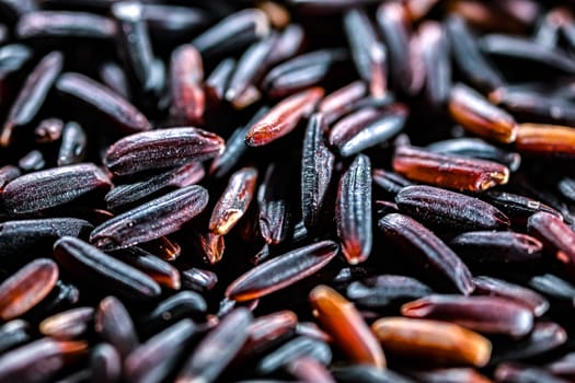 Close-up of black rice or purple rice