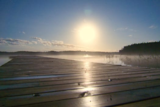 Moonlight over a lake in Sweden into which a wooden stay reaches. Scandinavian nature