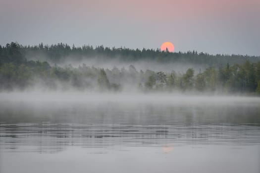 Sunrise with fog forming over a lake in Sweden, at dawn. Romantic silence, in the Scandinavian nature