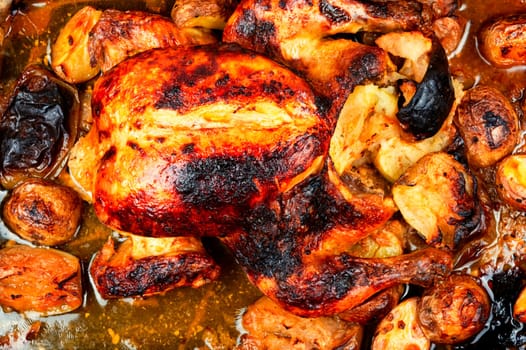 Delicious looking freshly roasted chicken. Homemade braised chicken in roasting pan. Close up.