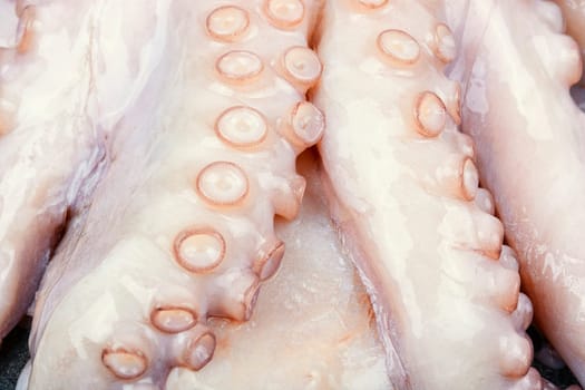 Close up of raw octopus. Raw octopus with ingredients for cooking preparation.