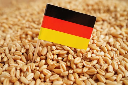 Germany flag on grain wheat, trade export and economy.
