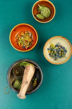 Herbal medicine. Healing herbs. Set of medicinal herbs