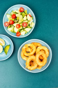 Delicious Fried squid rings and fresh vegetable salad. Close up.