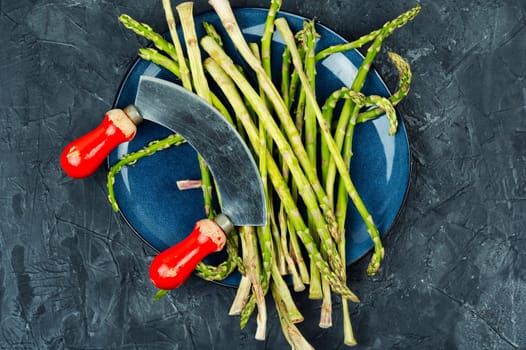 Bunch of raw asparagus stems. Uncooked and fresh asparagus. New season of asparagus