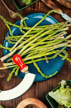 Bunch of raw asparagus stems. Uncooked and fresh asparagus. New season of asparagus