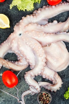 Fresh raw octopus. Concept healthy food, Mediterranean diet and seafood.