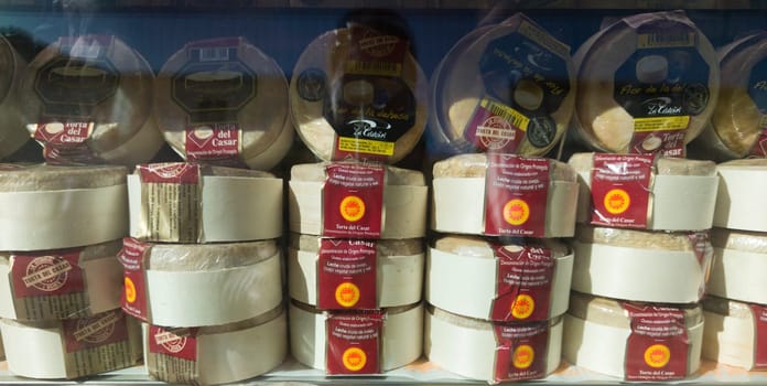 Caceres, Spain - Feb 14th, 2023: Torta del Casar cheeses displayed in a shop window