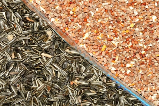 Bird food, sunflower seeds and grain