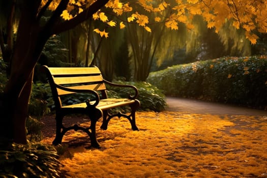 A bench for autumn trees with orange-yellow foliage on the paths in the park. Autumn season. space for text