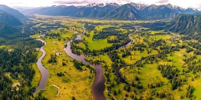 Aerial view of winding river flowing through lush green valley surrounded by forests and distant snow-capped mountains.