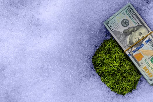 A bundle of cash lying on a snow surface near thawed green grass patch, vividly illustrating themes of financial waste and missed opportunities