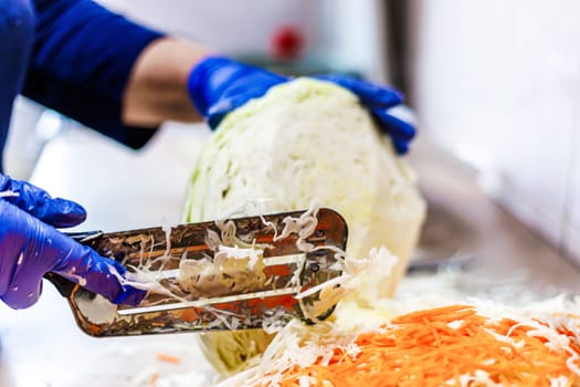 hands in blue gloves cutting cabbage with special double blade slit cabbage shredder knife during sauerkraut preparation