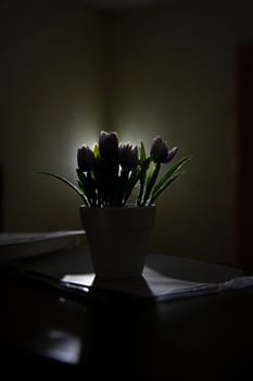 A beautifully stunning flower pot is softly glowing in a gently dimly lit environment, creating a tranquil ambiance