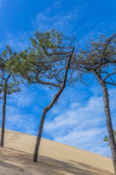 Dune of Pilat, the tallest sand dune in Europe. Arcachon Bay. Aquitaine, France