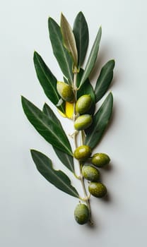Olive oil, olives and olive branches. AI generative.