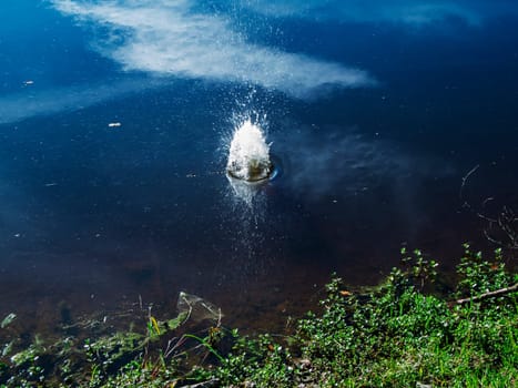 Stone thrown into a small lake at the moment of immersion with water splashing up.