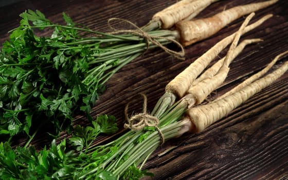 Parsley / parsnip roots with green leaves bunch, tied with cord, laying on dark wood rustic table