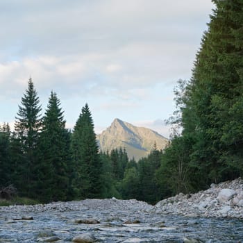 Forest river flowing, coniferous trees on both sides, mount Krivan peak (Slovak symbol) with summer evening clouds above in distance