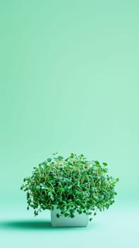 Green microgreens sprouts background, concept of healthy eating, copy space, AI Generated
