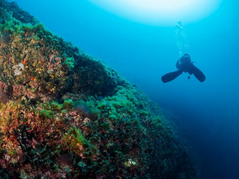 diver diving in the ocean with his scuba gear, the water is clear and blue, and the man is surrounded by rocks and plants, the scene is peaceful and serene