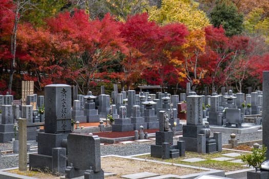 japanese cemetery with gray gravestones colorful autumn foliage kyoto