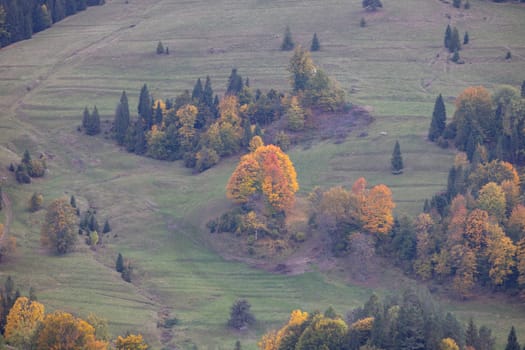 Picturesque view of the autumn landscape in the Pieniny Mountains, colorful leaves on the trees, Szczawnica, Poland. It is time of polish golden autumn