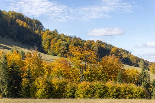 Picturesque view of the autumn landscape in the Pieniny Mountains, colorful leaves on the trees, Szczawnica, Poland. It is time of polish golden autumn