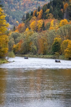 Szczawnica, Poland - October 13, 2024: Rafting on Dunajec river, wooden raft trip, Dunajec River Gorge in Pieniny Mountains in autumn, colorful trees on the shore