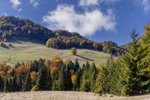Picturesque view of the autumn landscape in the Pieniny Mountains, colorful leaves on the trees, Szczawnica, Poland. It is time of polish golden autumn