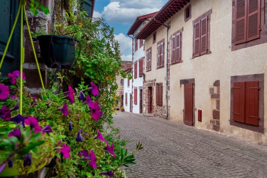 Saint Jean Pied de Port, street with a brick sidewalk and a row of houses. The houses are white and brown. There are flowers in a planter on the sidewalk