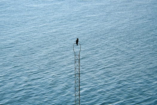 A black cormorant bird on a metal, narrow structure above a calm water surface. The background is characterized by wavy, blue water.