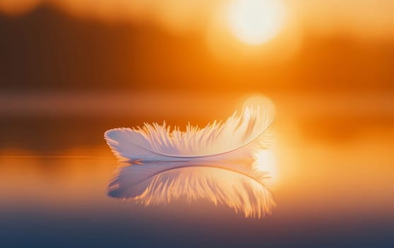 A delicate white feather floats on water, reflecting in the golden light of sunset, creating a serene and poetic scene of natural beauty.