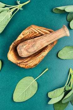 Fresh sage, Salvia officinalis and mortar with pestle.