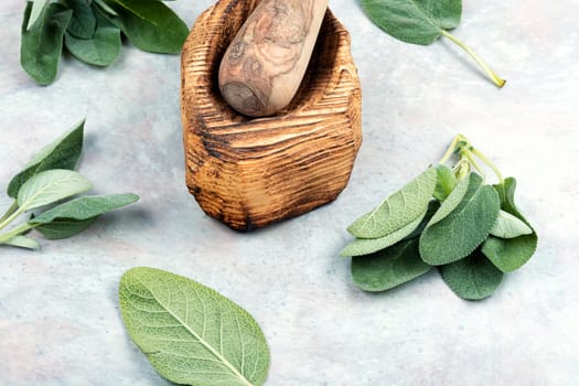 Fresh sage, Salvia officinalis and mortar with pestle.