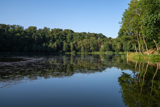 Panoramic image of landscape within the Vulkan Eifel, Rhineland-Palatinate, Germany