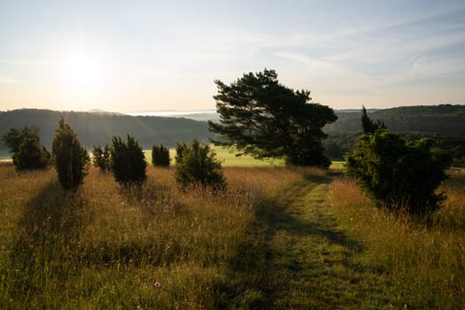 Panoramic image of summer landscape within the Eifel close to Blankenheim during sunrise, North Rhine Westphalia, Germany