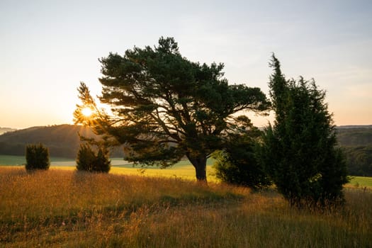 Panoramic image of summer landscape within the Eifel close to Blankenheim during sunrise, North Rhine Westphalia, Germany