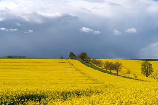 Panoramic image of beautiful landscape of Eifel Area, Rhineland-Palatinate, Germany