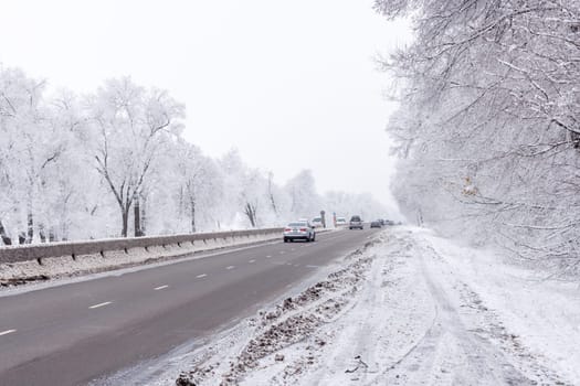 winter interstate road with snow covered trees at overcast day.