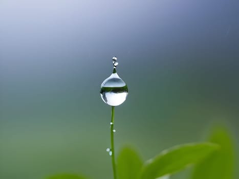 Macro water drop after rain