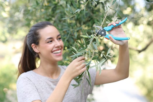 Happy woman pruning olive tree in the garden at home