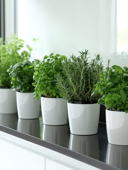 Fresh herbs growing in white ceramic pots on a windowsill, creating an indoor herb garden that brings nature and culinary freshness into the kitchen.