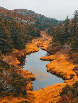 Winding stream cutting through a vibrant autumn landscape with golden grasses and evergreen trees, surrounded by misty mountains.