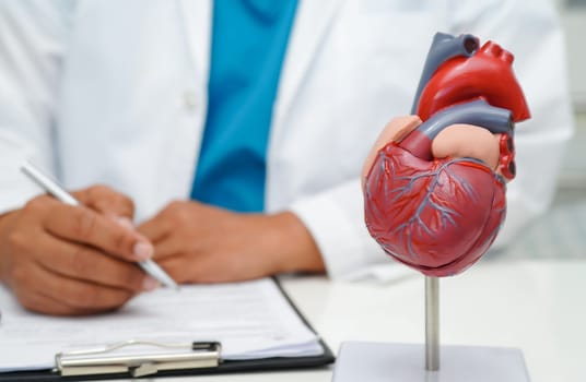 Cardiovascular disease CVD, doctor with heart human model anatomy for treatment patient in hospital.