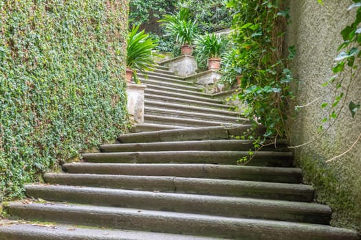 Old staircase in nature. Garden architecture design, green natural path with historic pavement