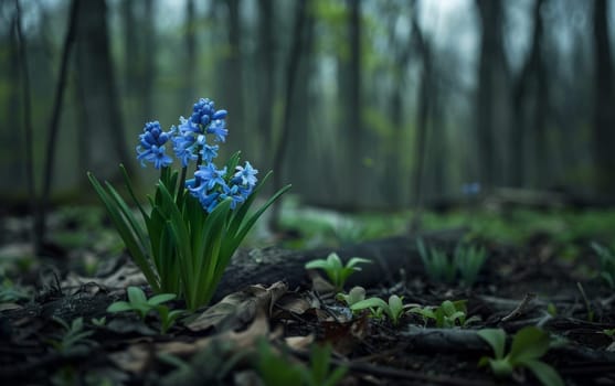 A close-up of beautiful bluebells emerging among the foliage in a serene, shadowy forest setting, symbolizing rebirth and peace.